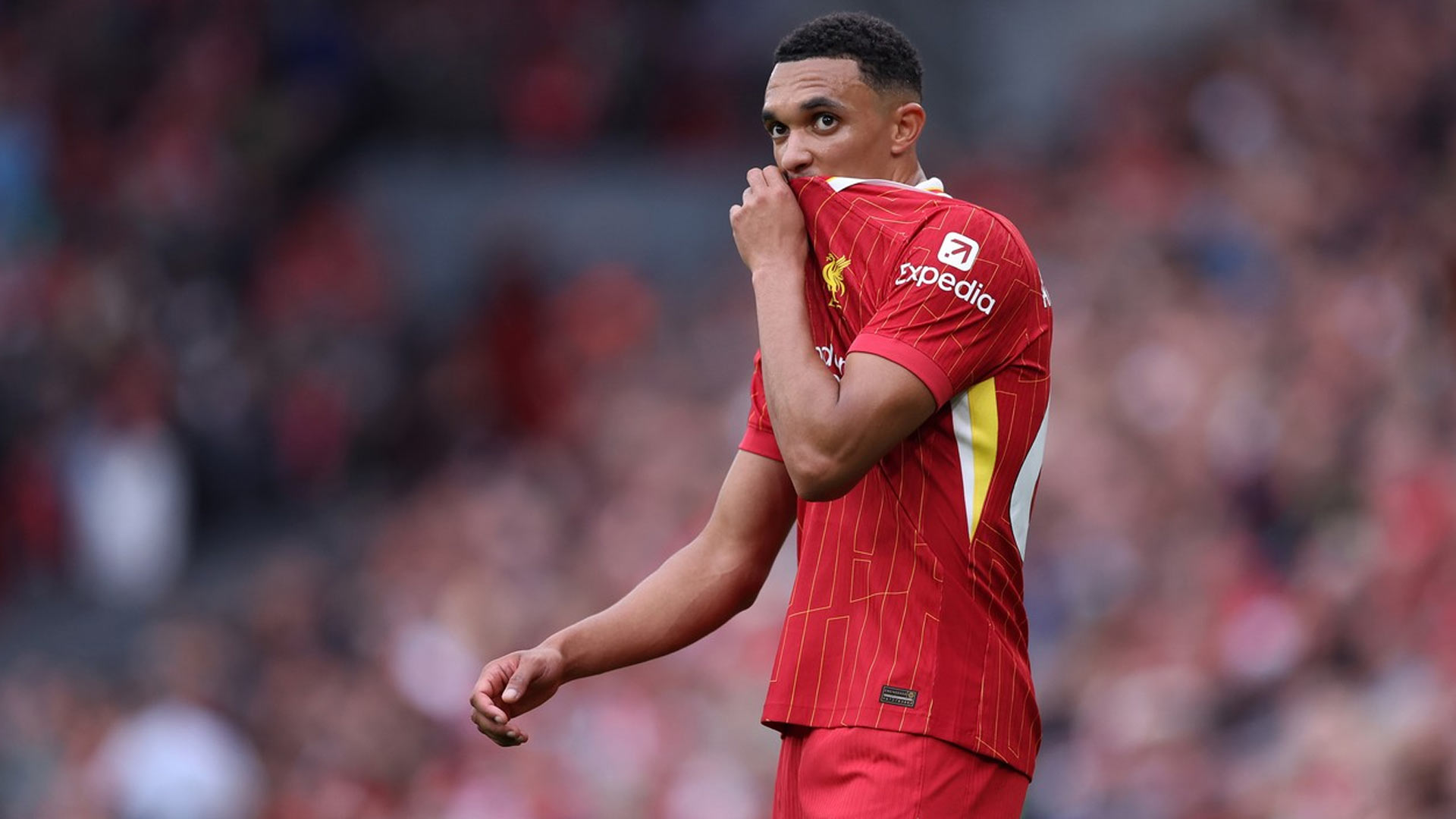 Alexander-Arnold: Liverpool Harus Nikmati Jadwal Padat Desember