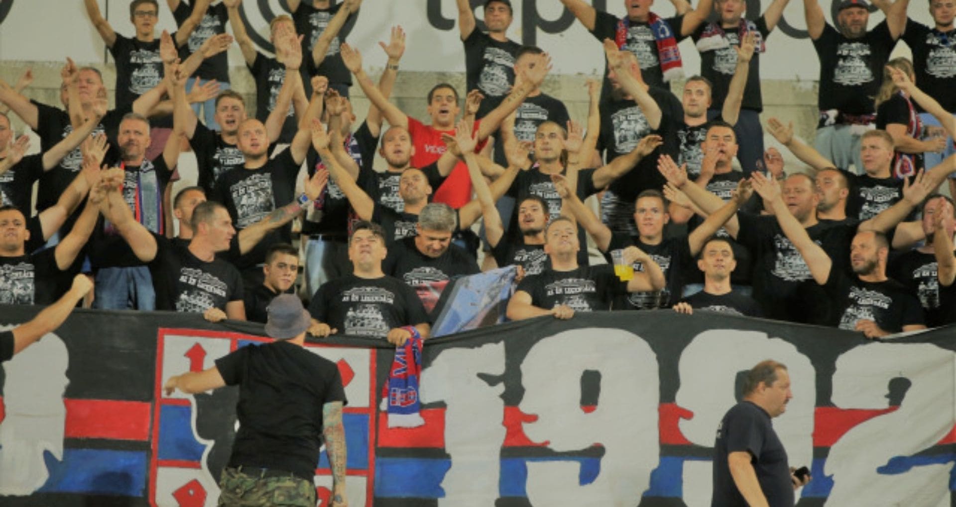 Apa Itu Capo Suporter?